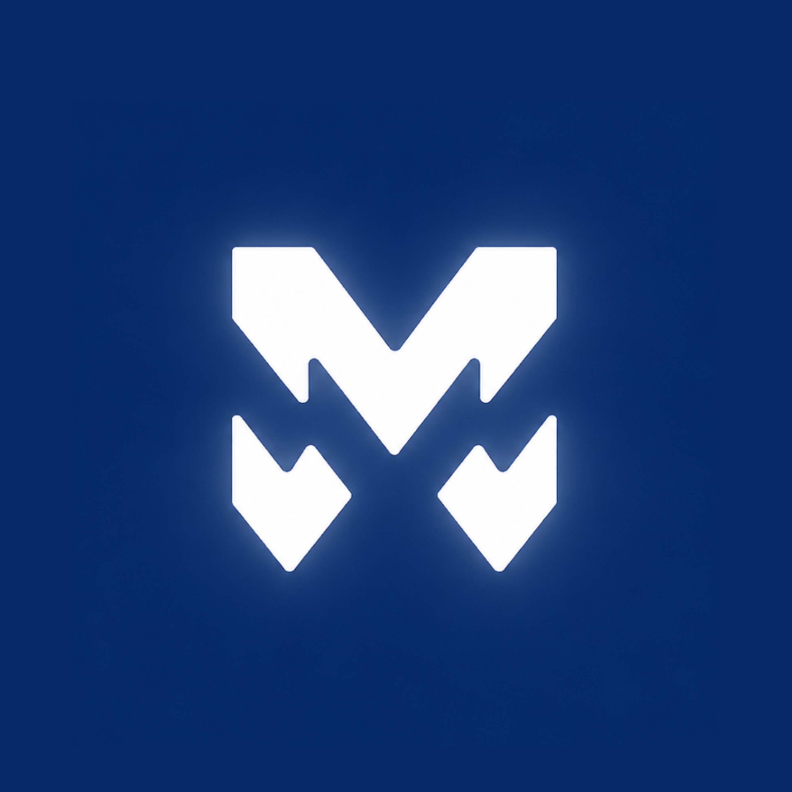 Mavion Studios